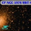 Cl* NGC 1978    WBT     401