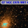 Cl* NGC 1978    WBT     402