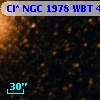 Cl* NGC 1978    WBT     404