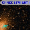 Cl* NGC 1978    WBT     406