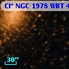 Cl* NGC 1978    WBT     407