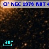 Cl* NGC 1978    WBT     409
