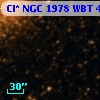 Cl* NGC 1978    WBT     410