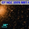 Cl* NGC 1978    WBT     411