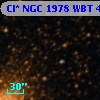 Cl* NGC 1978    WBT     415