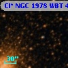 Cl* NGC 1978    WBT     417