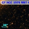 Cl* NGC 1978    WBT     419