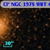 Cl* NGC 1978    WBT     420
