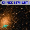 Cl* NGC 1978    WBT     421