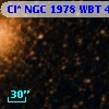 Cl* NGC 1978    WBT     422