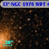 Cl* NGC 1978    WBT     423