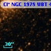 Cl* NGC 1978    WBT     425