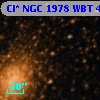 Cl* NGC 1978    WBT     426