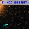 Cl* NGC 1978    WBT     427