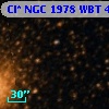 Cl* NGC 1978    WBT     429