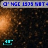 Cl* NGC 1978    WBT     431