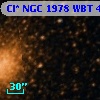 Cl* NGC 1978    WBT     432