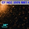 Cl* NGC 1978    WBT     436