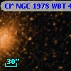 Cl* NGC 1978    WBT     438