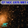 Cl* NGC 1978    WBT     439