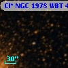 Cl* NGC 1978    WBT     441
