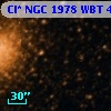Cl* NGC 1978    WBT     442