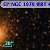 Cl* NGC 1978    WBT     443