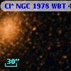 Cl* NGC 1978    WBT     445