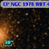 Cl* NGC 1978    WBT     446