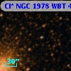 Cl* NGC 1978    WBT     447