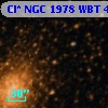 Cl* NGC 1978    WBT     449