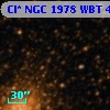 Cl* NGC 1978    WBT     451