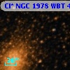Cl* NGC 1978    WBT     456