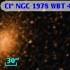 Cl* NGC 1978    WBT     458