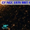 Cl* NGC 1978    WBT     460