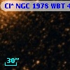 Cl* NGC 1978    WBT     461