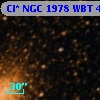 Cl* NGC 1978    WBT     462