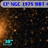 Cl* NGC 1978    WBT     464