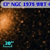 Cl* NGC 1978    WBT     466