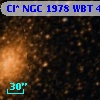 Cl* NGC 1978    WBT     467