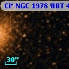 Cl* NGC 1978    WBT     469
