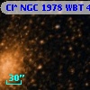 Cl* NGC 1978    WBT     470