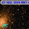 Cl* NGC 1978    WBT     471