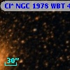 Cl* NGC 1978    WBT     474
