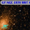 Cl* NGC 1978    WBT     478