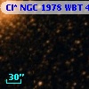 Cl* NGC 1978    WBT     481