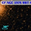 Cl* NGC 1978    WBT     482