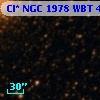 Cl* NGC 1978    WBT     483