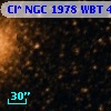 Cl* NGC 1978    WBT     484