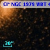 Cl* NGC 1978    WBT     485